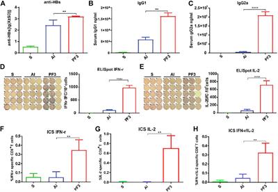 A New Nano Adjuvant of PF3 Used for an Enhanced Hepatitis B Vaccine